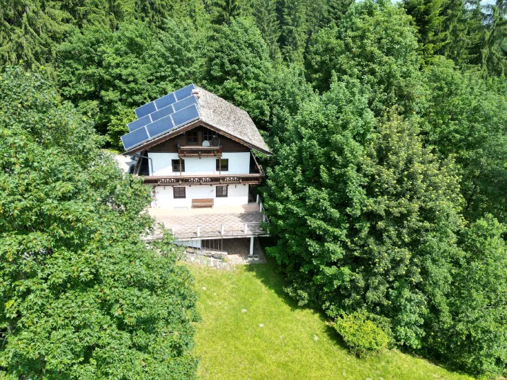 Green Living auf XXL-Grundstück