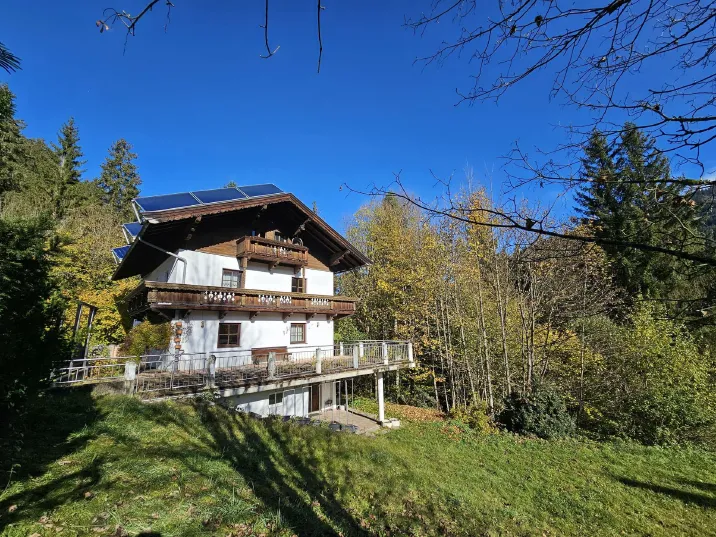 4.699m2 Grundstück mit Altbestand in Waldlichtung
