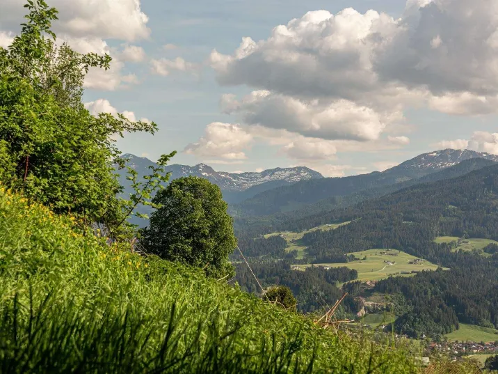 Grundstück in erhöhter Panoramalage